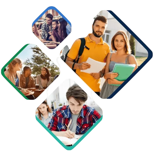 Academic Editing Support